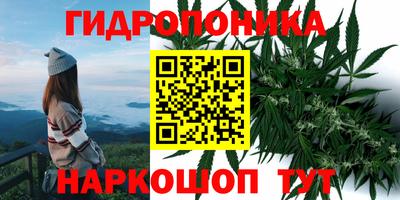 ГАЛЛЮЦИНОГЕННЫЕ ГРИБЫ Бугуруслан