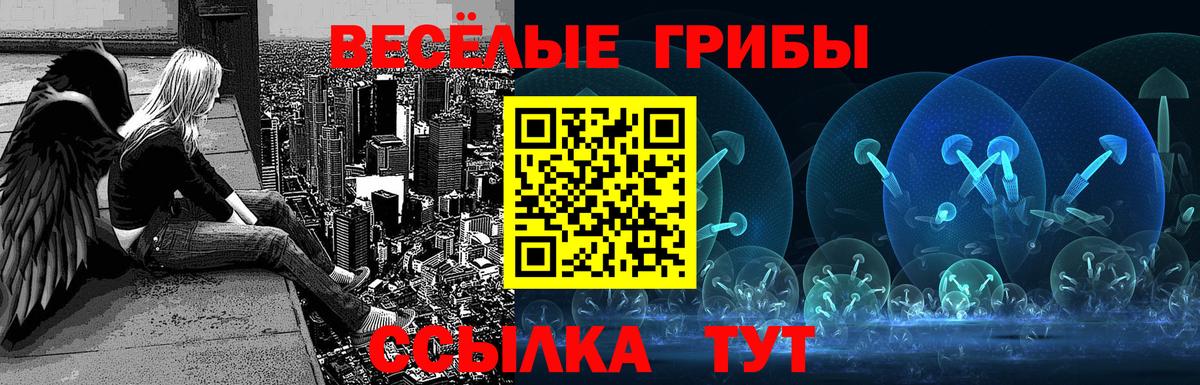 Челябинск  Галлюциногенные грибы прущие грибы  Вход с VPN 